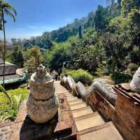 Explore the Tranquility of Wat Pha Lat