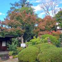 【千手寺:大阪府東大阪市】