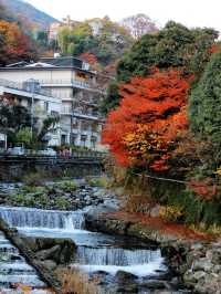東京箱根🍁紅葉之旅🍁2天之行
