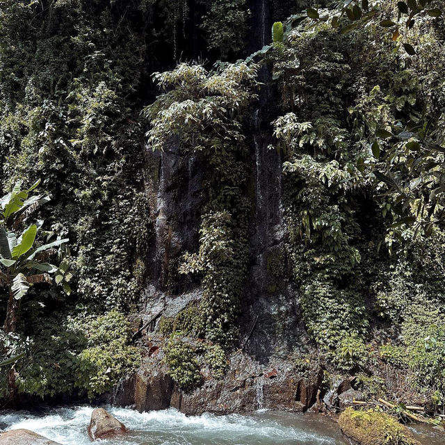 A Hidden Gem in Bali: Nukad Tampaksiring