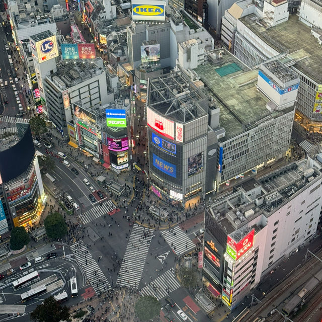 東京必去景點—Shibuya Sky