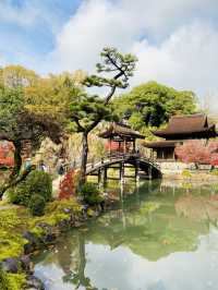 虎溪山永保寺-日式庭園寺廟配搭絕美紅葉，讓人看得如痴如醉