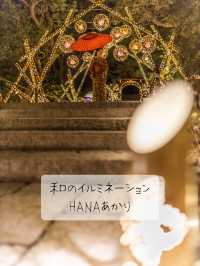 和のイルミネーションHANAあかり💡