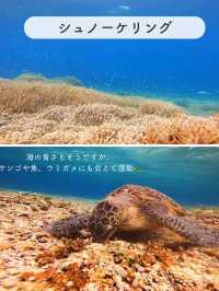 【西表島】楽しいアクティビティを紹介✨