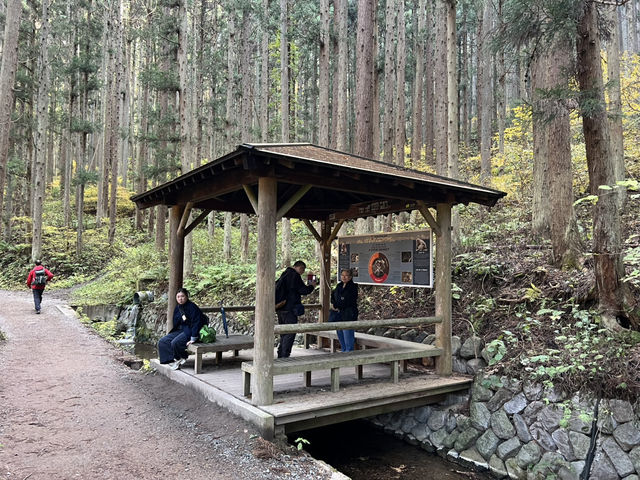 地獄谷野猿公苑 長野縣景點 日本旅遊