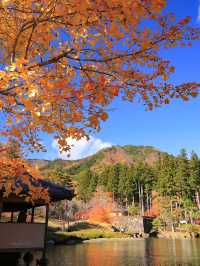 📍 【栃木】鹿沼市の彩る紅葉