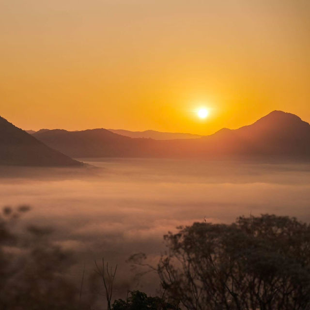 ภูทอก🌅🔆