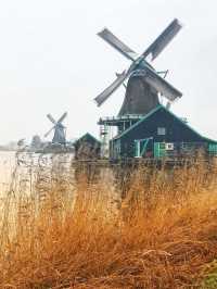 🇳🇱Windmills in Zaanse Schans🇳🇱