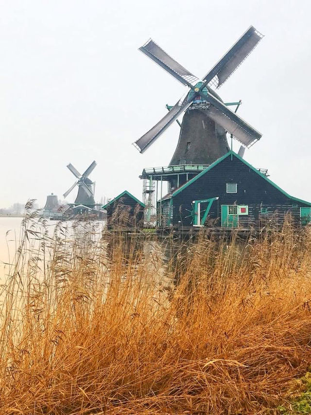 🇳🇱Windmills in Zaanse Schans🇳🇱