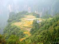 【中国】圧倒的スケール！武陵源の絶景中の絶景「空中庭園」