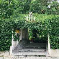 ทานอาหารใต้ในสวน