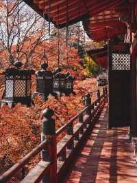【奈良の談山神社】紅葉と歴史の絶景に感動間違いなし！