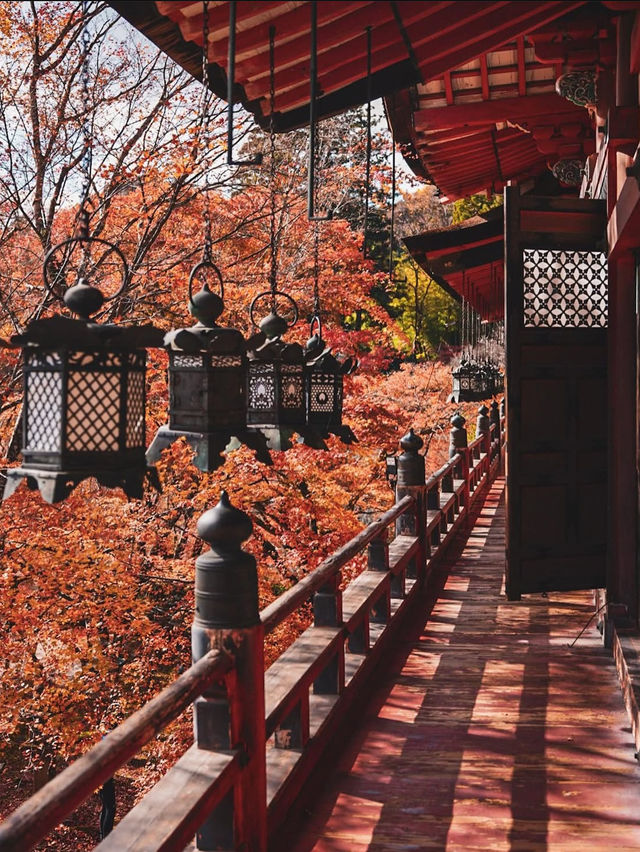 【奈良の談山神社】紅葉と歴史の絶景に感動間違いなし！