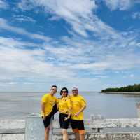 Ca Mau Primeval forest park 
