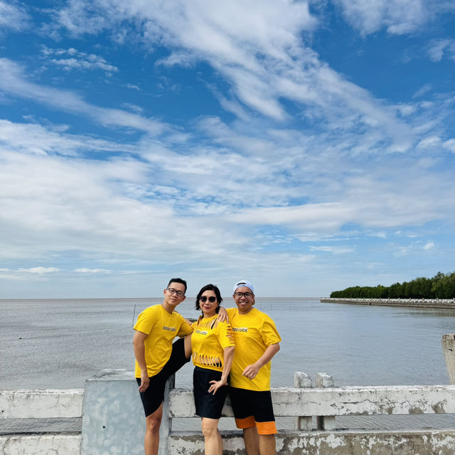 Ca Mau Primeval forest park 