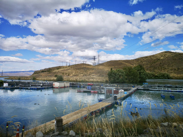 🏞️ 新西蘭最美的湖水和三文魚養殖場