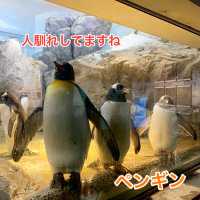 動物に癒されよう！のんほいパーク(豊橋総合動植物公園）