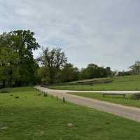Knole House