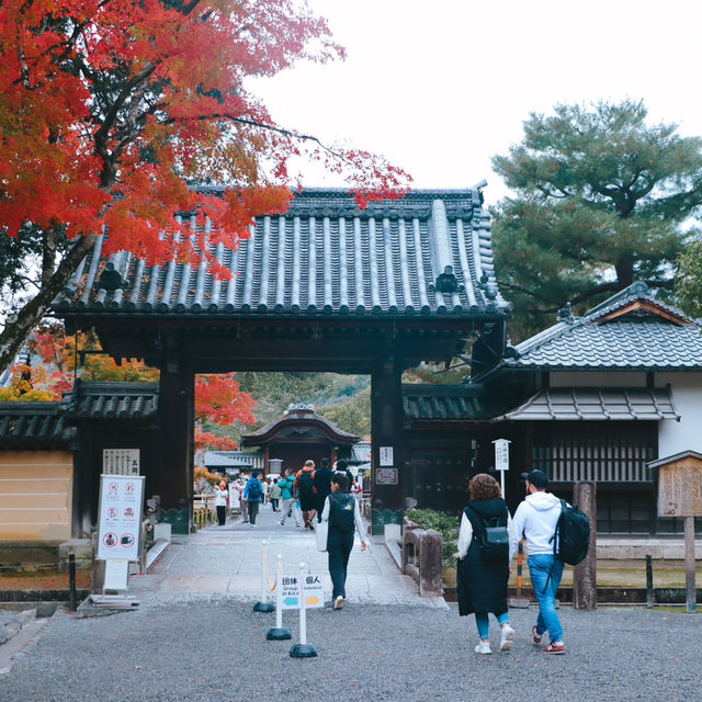 Kinkakuji Temple