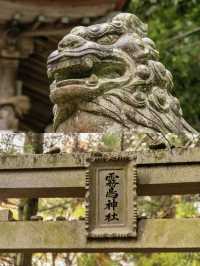【日本】旅したくなる鳥居スポット5選