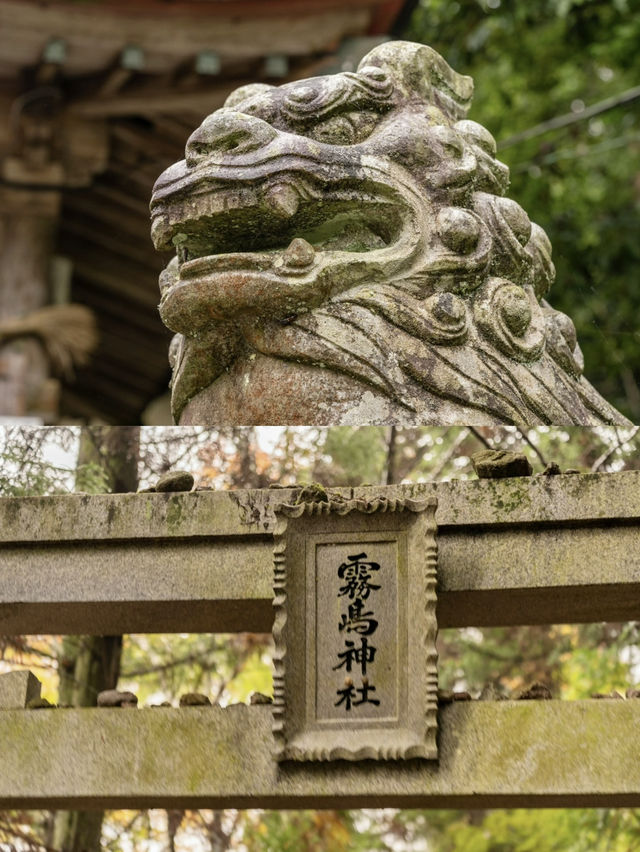 【日本】旅したくなる鳥居スポット5選