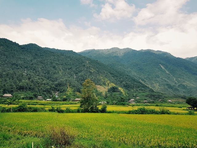 Review Mu Cang Chai and unforgettable skydiving experience