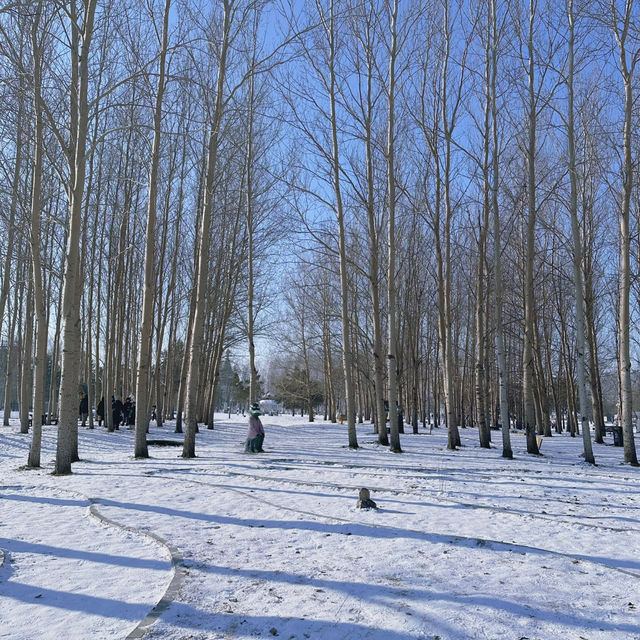 ⛄️Volga Manor คฤหาสน์รัสเซียแห่งฮาร์บิน🪆