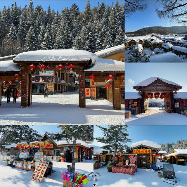 เที่ยวฮาร์บิน (Harbin) ด้วยตนเอง