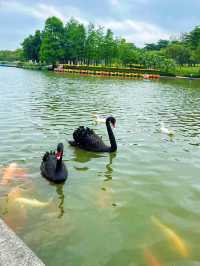 珠海白蓮洞公園：自然與歷史的交響曲🌿