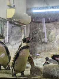 A day trip to Zoo Negara Malaysia
