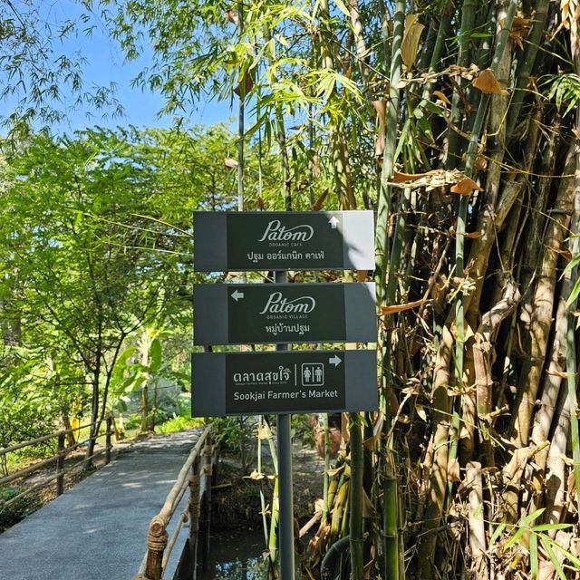 ปฐม ออร์แกนิก ลิฟวิ่ง (Patom Organic Living Cafe)