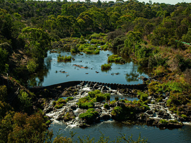Chasing Serenity at Buckley Falls Lookout