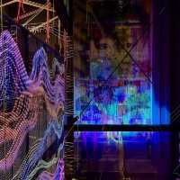 Illuminating Identities: Light to Night Festival 2025