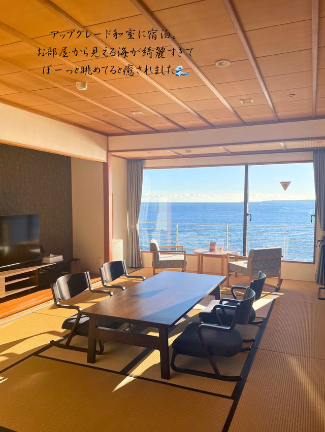 絶景が楽しめるお部屋に泊まってきた♨️東伊豆 稲取銀水荘