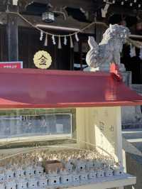 【宮城×冬の旅】金運アップで有名な神社 ヘビ年で更に人気！！ 