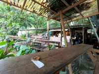 Escape to the Treetops ;The Ultimate Rainforest Retreat