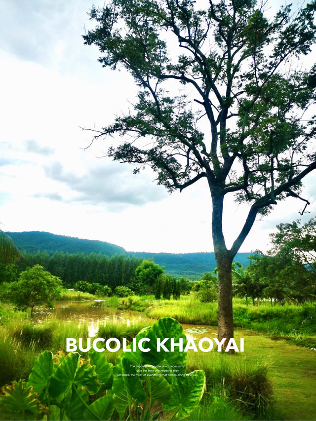 คาเฟ่ BUCOLIC Khaoyai บรรยากาศจัดเต็ม