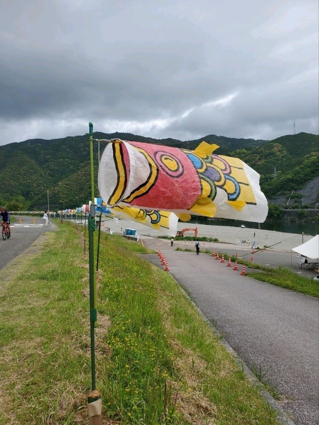 【のぼり鯉は水の中も泳ぐ】
