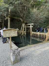 歴史と自然が融合する場所、『鹿島神宮』の魅力⛩️