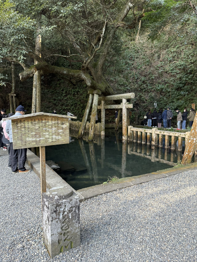 歴史と自然が融合する場所、『鹿島神宮』の魅力⛩️