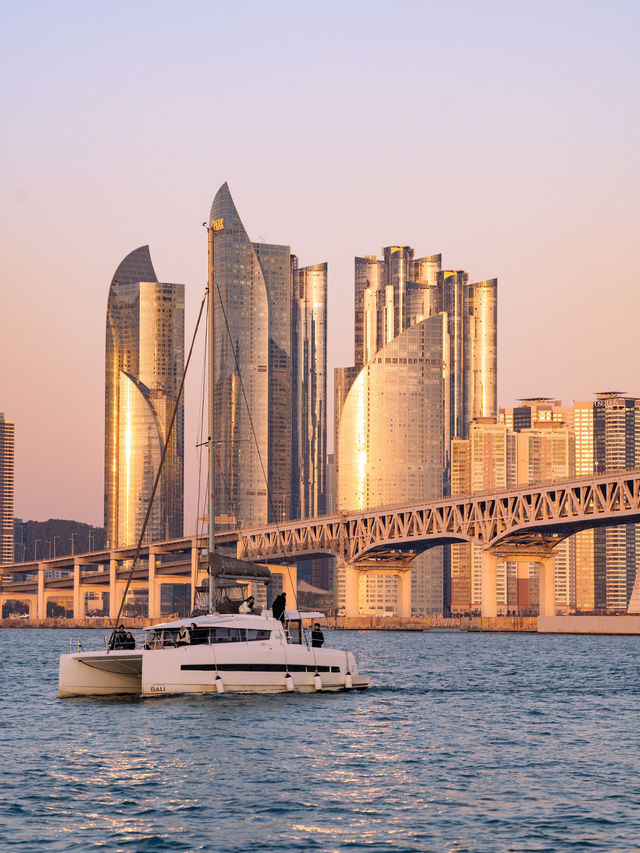 낭만가득한 야외데이트 부산 바다 요트투어🛥️🖤✨