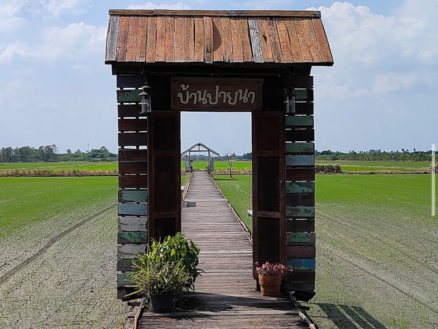 บ้านปายนา