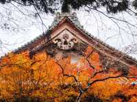 วัด Jingo-ji 