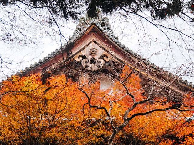 วัด Jingo-ji 