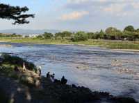 Arashiyama Uncovered: Secrets of Kyoto’s Hidden Retreats