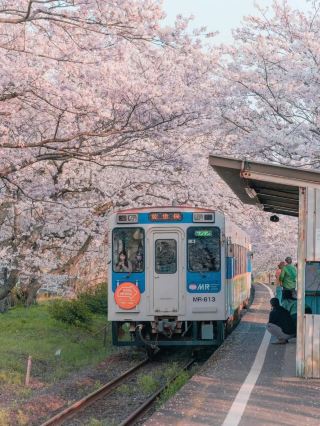 Kyoto 