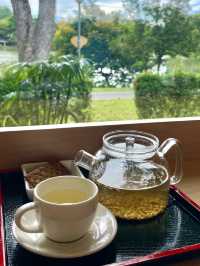 A Mindful Escape in Yishun: Tea, Nature, and a Moment of Stillness