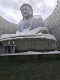 Half day trip to Hill of The Buddha 