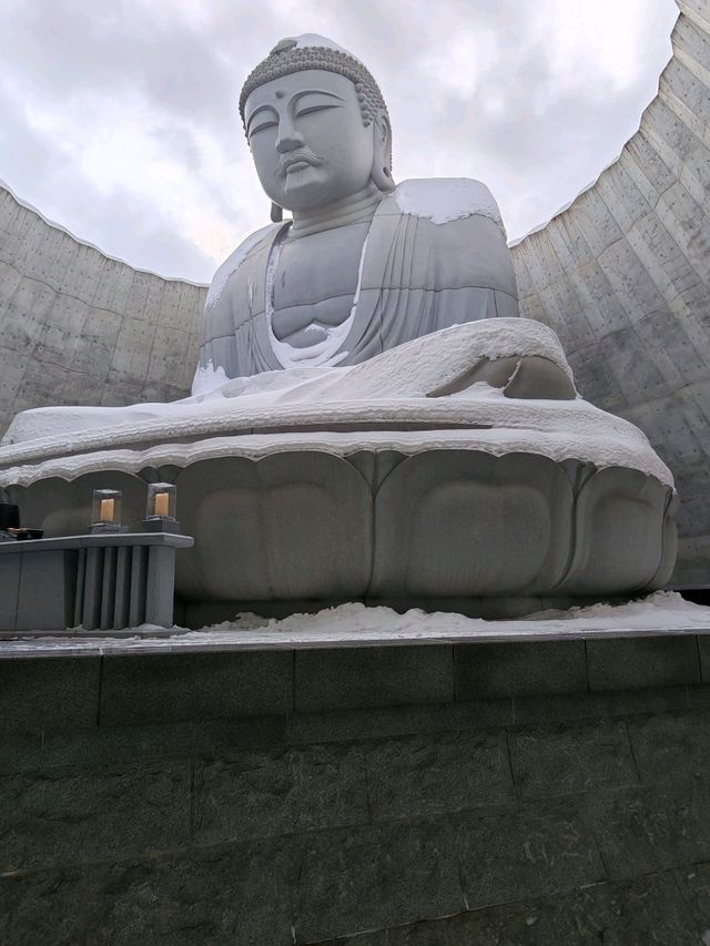 Half day trip to Hill of The Buddha 