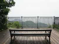 The Road Less Traveled: Lugard Road Lookout Near Victoria Peak